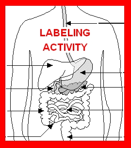 LABELING ACTIVITY.JPG